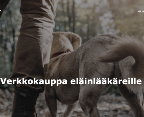 Case: Prevett Oy verkkokauppa ja integraatiot